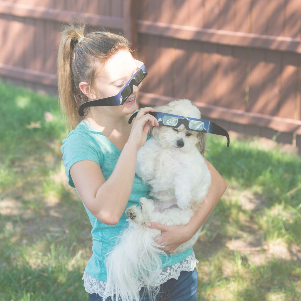 Eclipse Safety for Your Furry Friend!